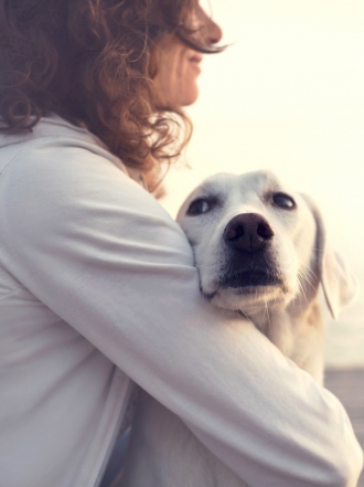Qué mascota va mejor con tu signo