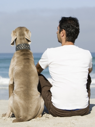 Por qué el perro es el mejor amigo del hombre