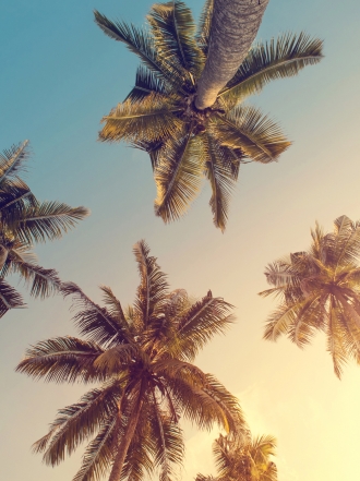 Hechizos que solo funcionan en verano