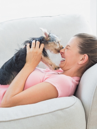 Nombres perfectos para perros pequeños