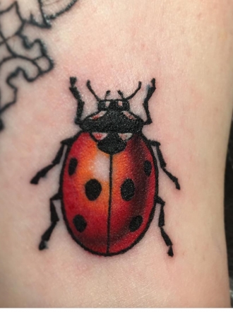Tatuajes de insectos, ¿cuáles de ellos te harías?