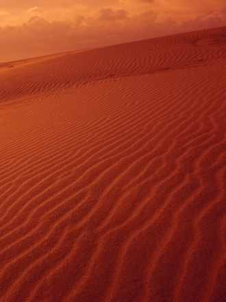 Soñar que camino por el desierto: aprendiendo a sobrevivir