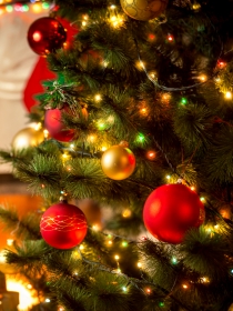 Soñar con un árbol de Navidad: ¿lista para disfrutar?