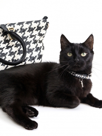 Que no te dé miedo soñar con la mala suerte: significado de sueños negativos