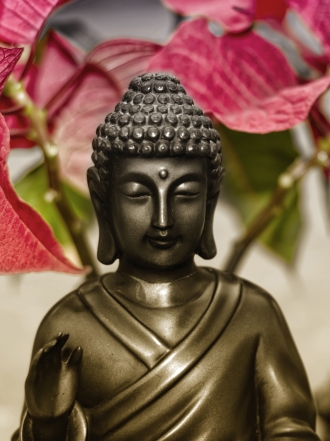 Los 10 ladrones de energía según Dalai Lama