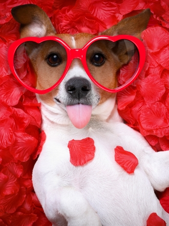 San Valentín con amigas: una propuesta irresistible