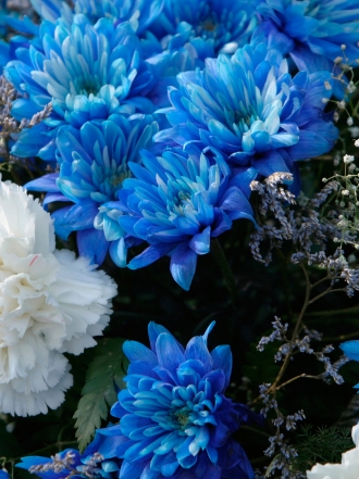 Diccionario de sueños: soñar con flores azules