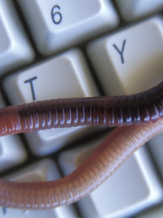 Soñar con lombrices: ¿te sientes débil?