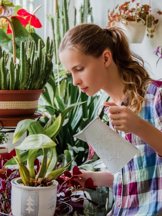 Feng Shui: 8 plantas que atraen la mala y la buena energía