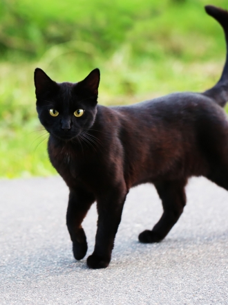 Conoce las edades de la mala suerte en hombres y mujeres