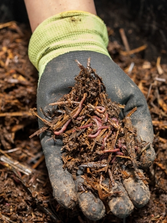Soñar con gusanos en el techo: ¡lo que se te viene encima!
