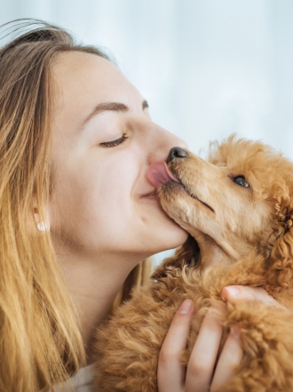 Nombres indios para perros inspirados en el Viejo Oeste