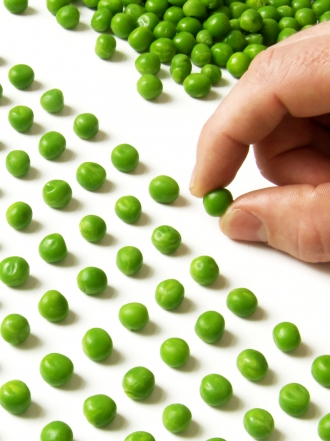 Horóscopo: Los signos más perfeccionistas del zodiaco