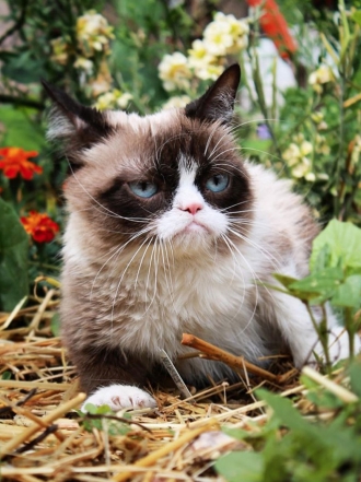 Horóscopo: Ojo con los signos más gruñones del zodiaco