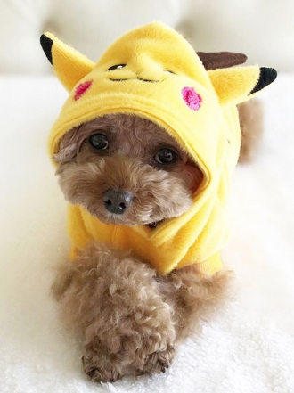 Originales nombres para perros inspirados en Pokémon