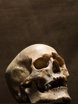 Soñar con un cráneo: ¿tienes dudas?