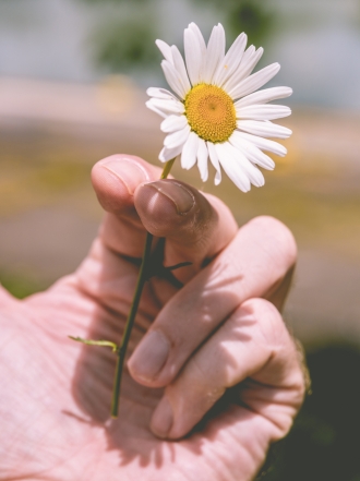 Soñar con dejar de fumar: tu fuerza de voluntad