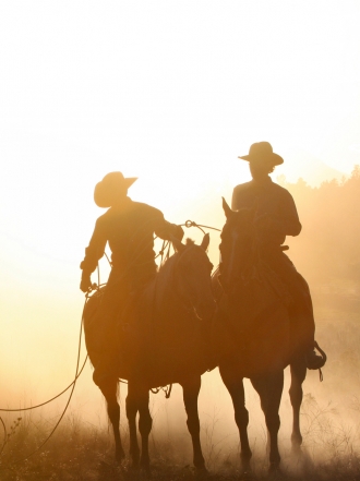 El significado de soñar con vaqueros del Oeste