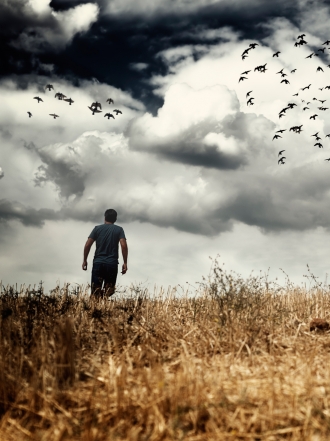 Ornitofobia: ¿tienes miedo a los pájaros?