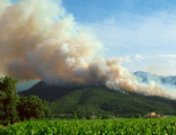 Incendios Forestales: guía de prevención y actuación