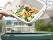 Etiquetas activas: cómo evitar el despilfarro de comida