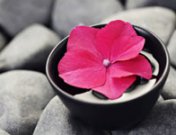 Descubre el Feng Shui para tu equilibrio emocional