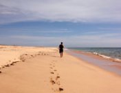 Caminar para recordar: no hay nada como un buen paseo para la memoria