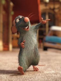 Soñar con ratas te mantiene alerta; significado de sueños con roedores