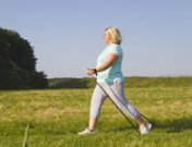 Tratamiento de la menopausia: hormonas o fitoterapia en el climaterio