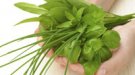 Remedios naturales para el dolor de espalda