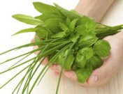 Remedios naturales para el dolor de espalda