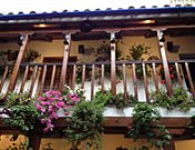 El frescor de los patios de Córdoba