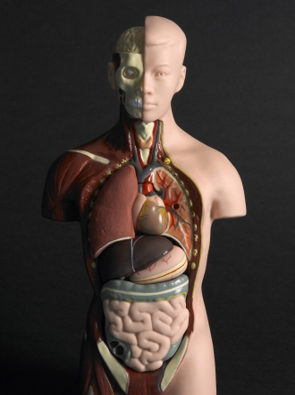 Donante de órganos: regala una vida