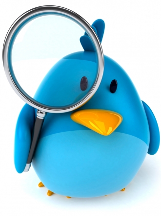 ¿Utilizas bien el Twitter? Guía para 'tuitear'