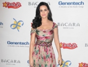 Look de Katy Perry: atrevida y sexy