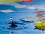 Depresión melancólica: superar la infelicidad y la tristeza