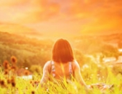 Soñar con el campo: recoge la tranquilidad en el significado de tus sueños