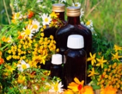 La fitoterapia como tratamiento para la depresión