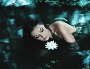 Historia de amor de cuento: hadas en el bosque