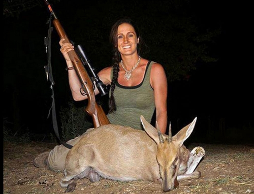 Melissa Bachman prefiere los antílopes pequeños