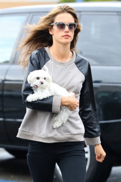 A Alessandra Ambrosio le queda todo bien, hasta su perro