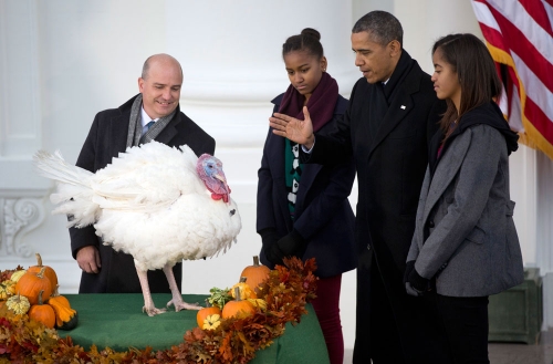 Obama salva la vida a un pavo en la víspera del Día de Acción de Gracias