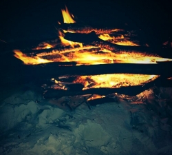 El día de Acción de Gracias más familiar de Miley Cyrus