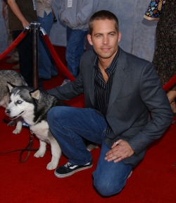 Paul Walker de 'Fast and Furious' siempre fue una persona muy solidaria