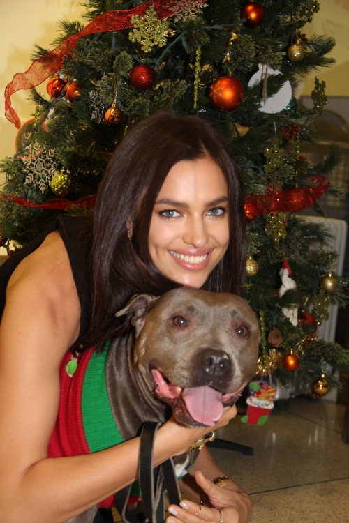 Irina Shayk, novia de Cristiano Ronaldo, es una amante de los animales