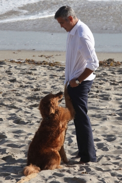 El lado más tierno de George Clooney con un perro