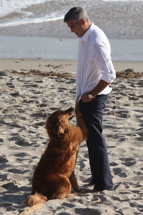 El lado más tierno de George Clooney con un perro