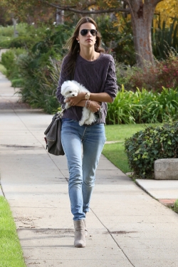 Alessandra Ambrosio, de compras con su mascota