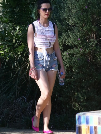 Katy Perry, un extravagante pelazo verde para camuflarse con los árboles