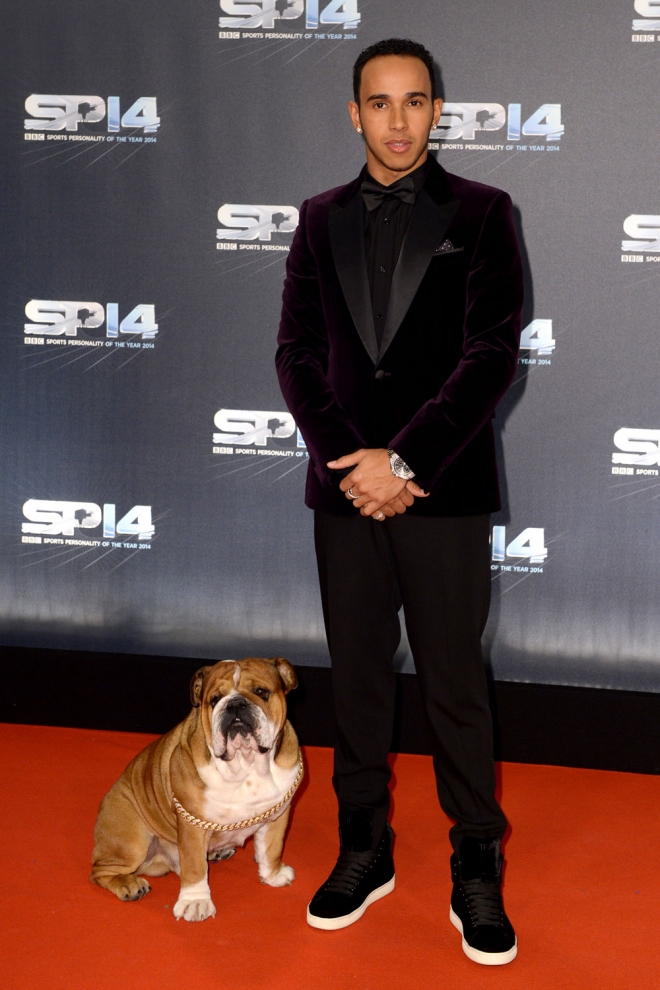 Mascotas famosos: Lewis Hamilton, un perro de alfombra roja